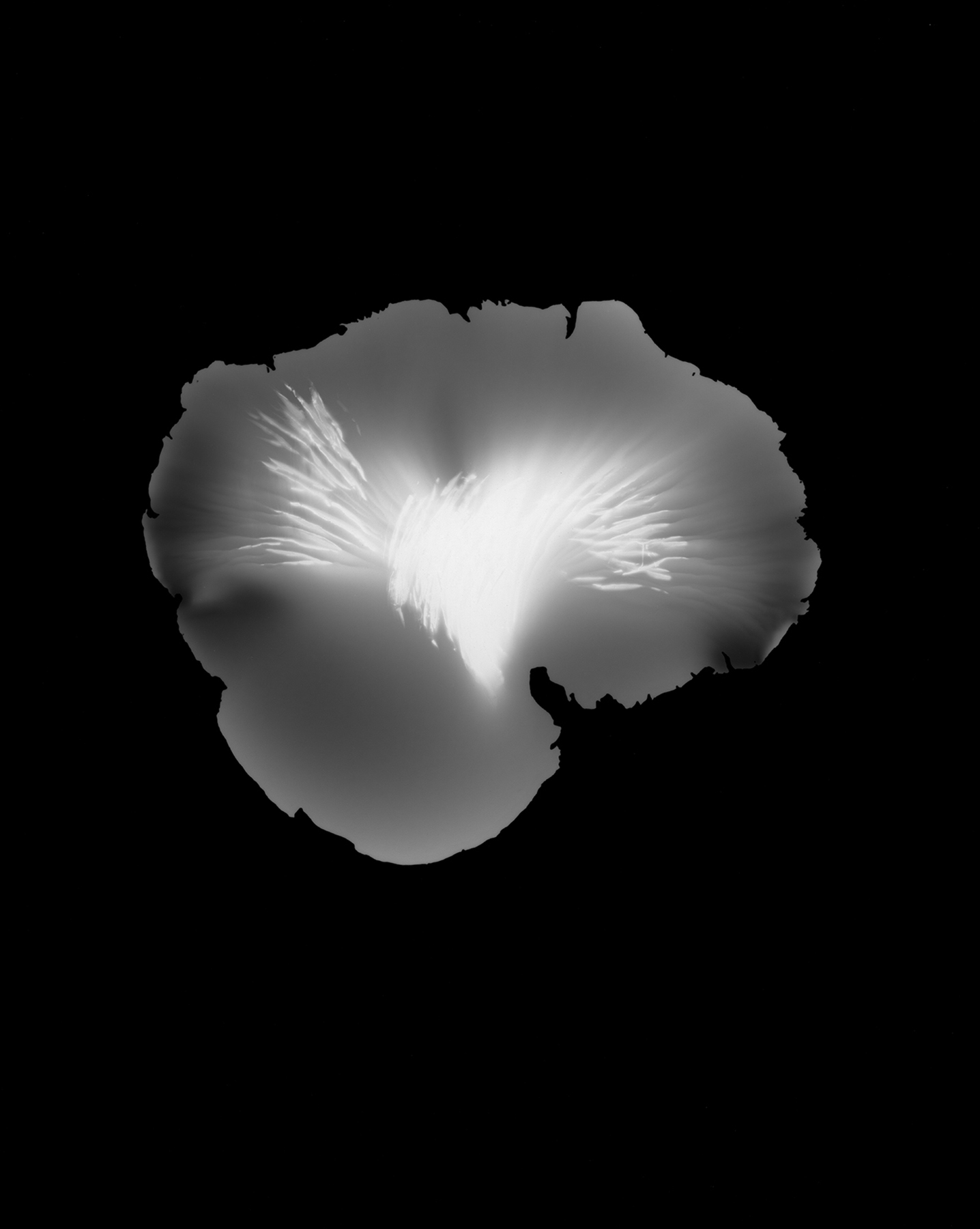 Heart Light.jpg