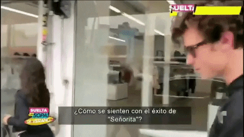 Camila Cabello GIF-downsized_large.gif