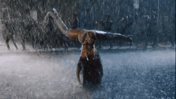 x2.gif