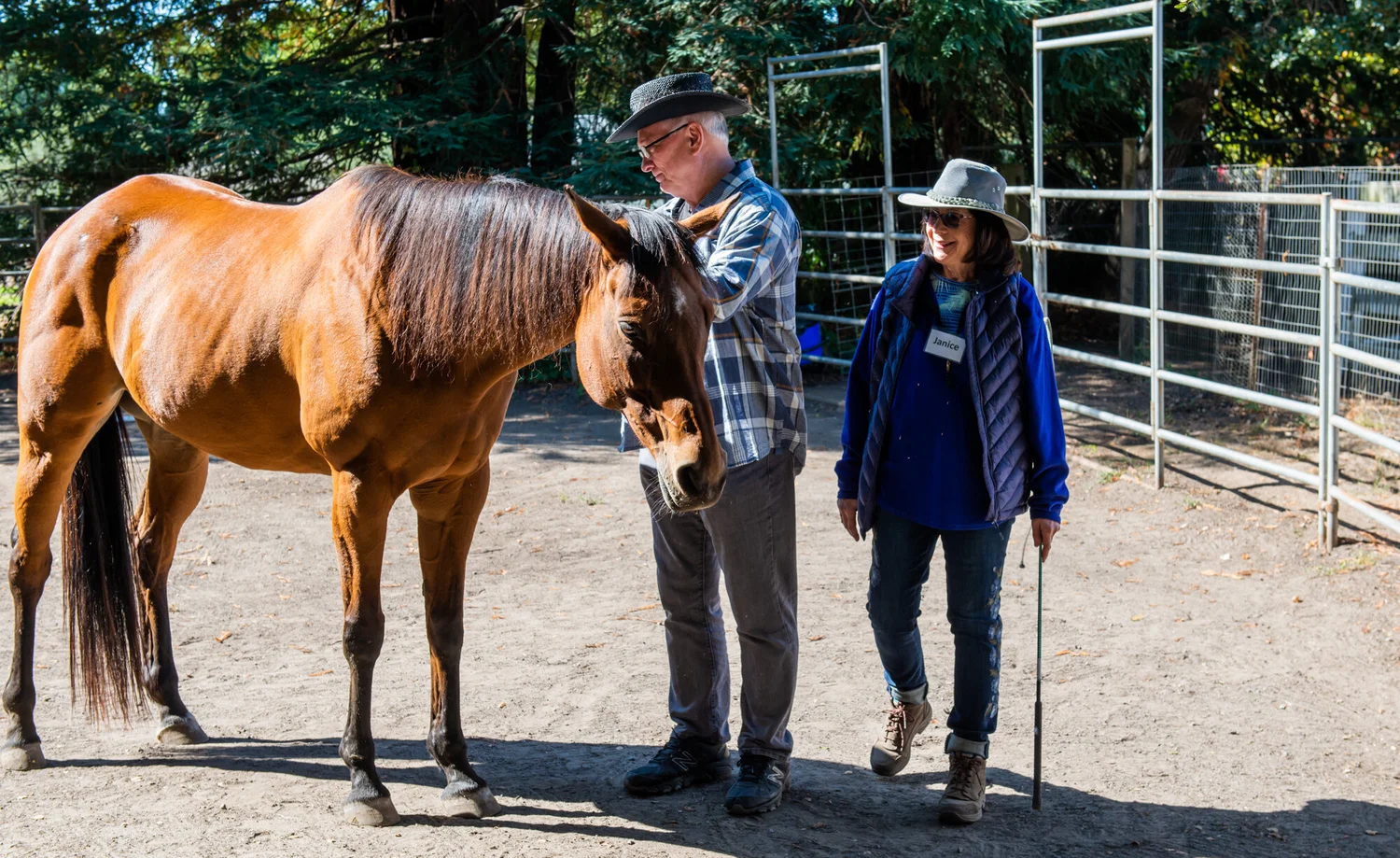 Participants learning alongside a horse during an Intentional Leaders retreat