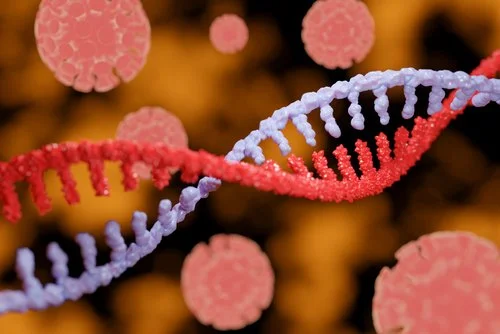 Decoding the RNA Frontier: RealSeq Biosciences' Breakthrough in Fragmentomics Diagnostics