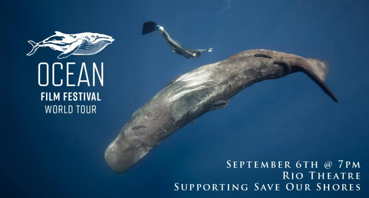 Ocean Film Festival World Tour