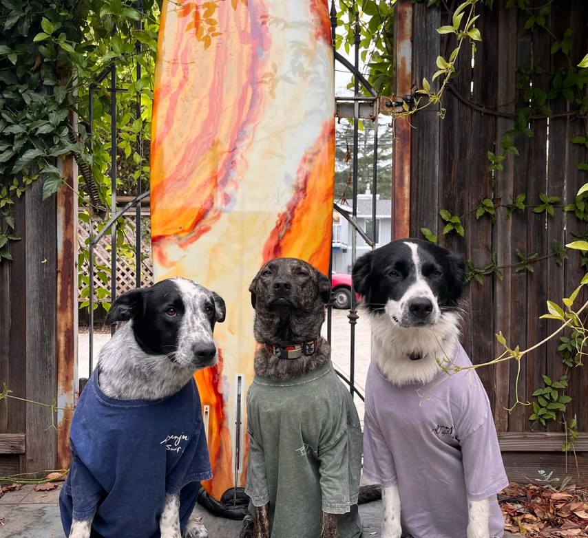 Screenshot 2026-01-14 at 2.31.37 PM.png