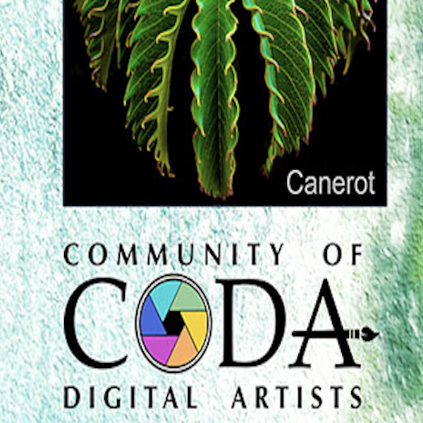 Blitzer Gallery 2026 CODA