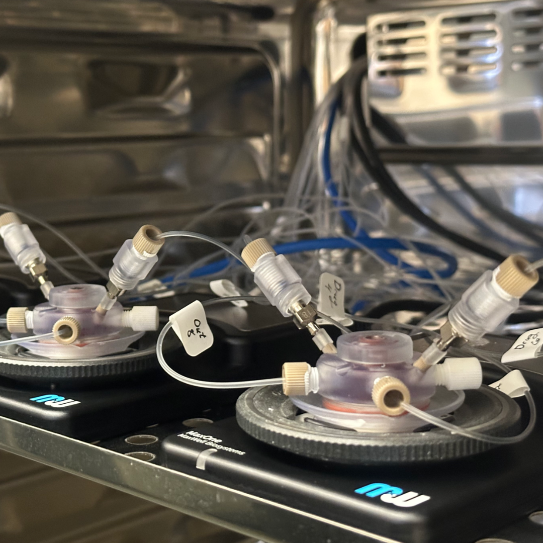 An Organoid’s View of the Future of the Lab