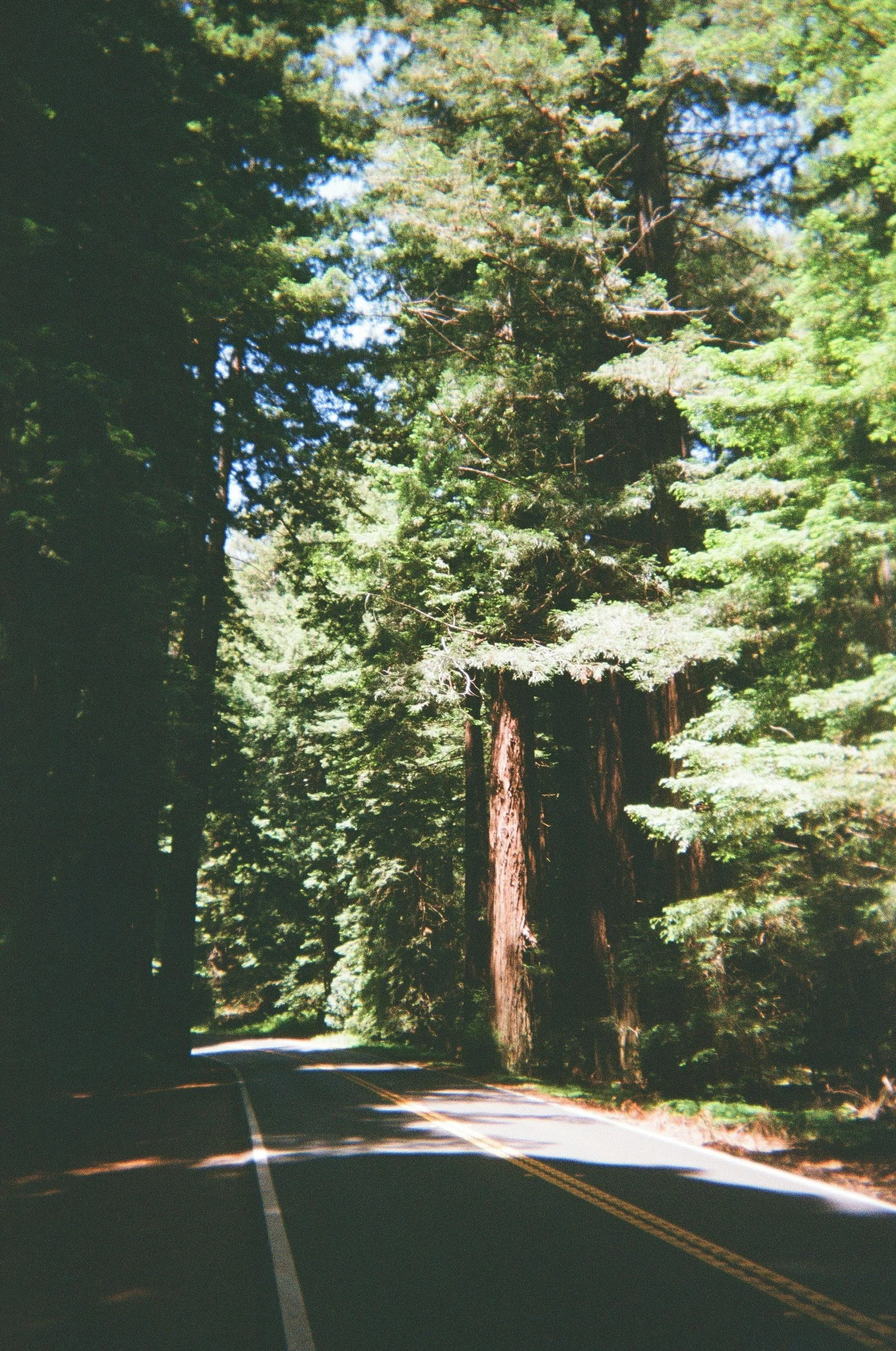 &nbsp;A Santa Cruz Experience You Definitely Have Not Had