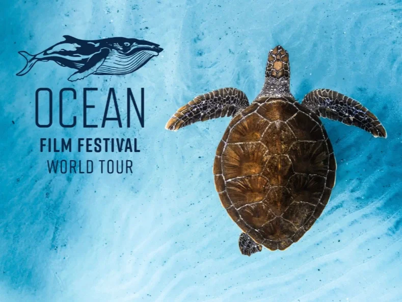 Dive into the Depths of the 13th Annual Ocean Film Festival World Tour