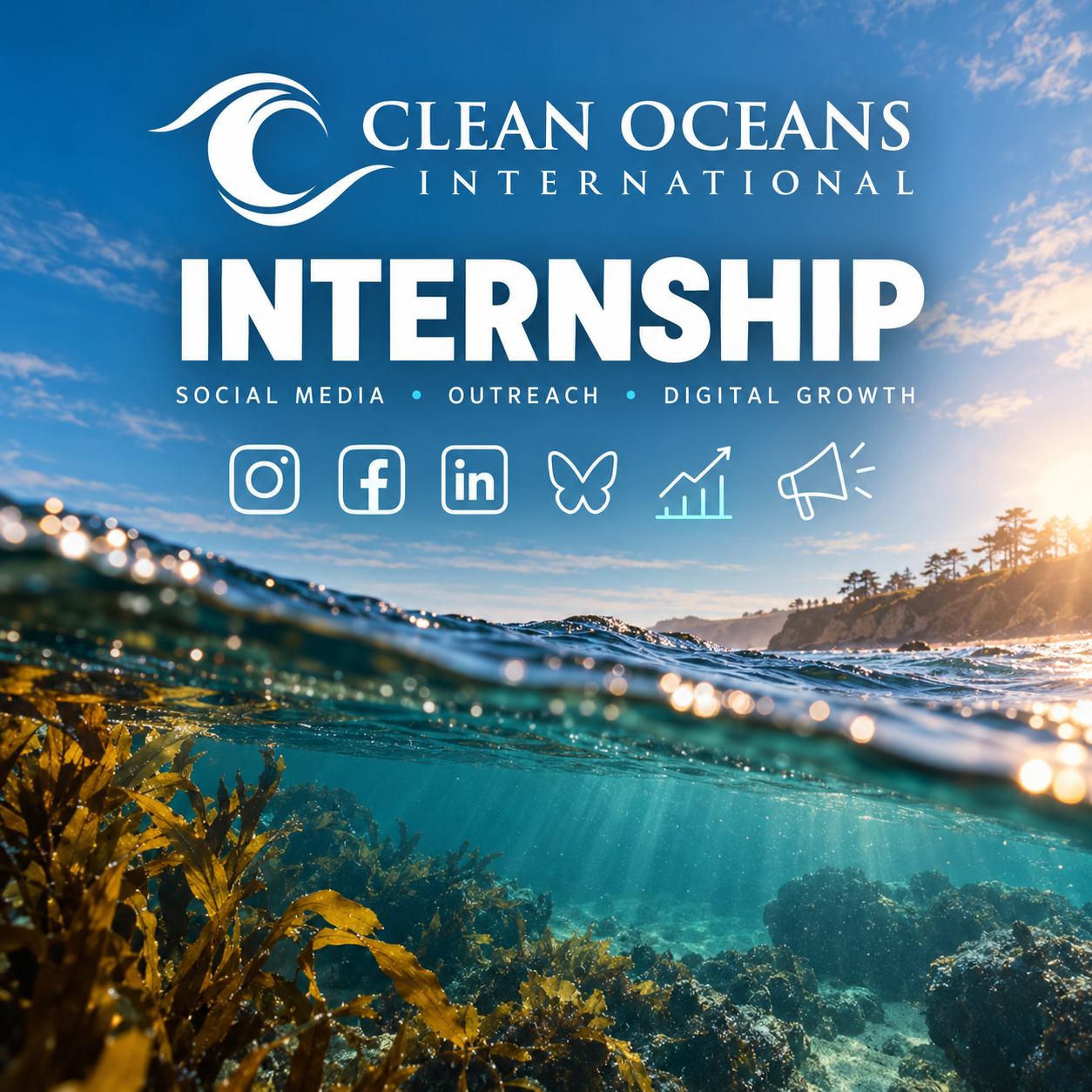 Clean Oceans International Is Hiring a Paid Intern