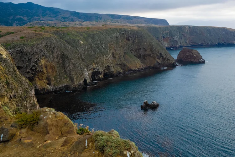 Entrepreneurs and local innovation in Santa Cruz