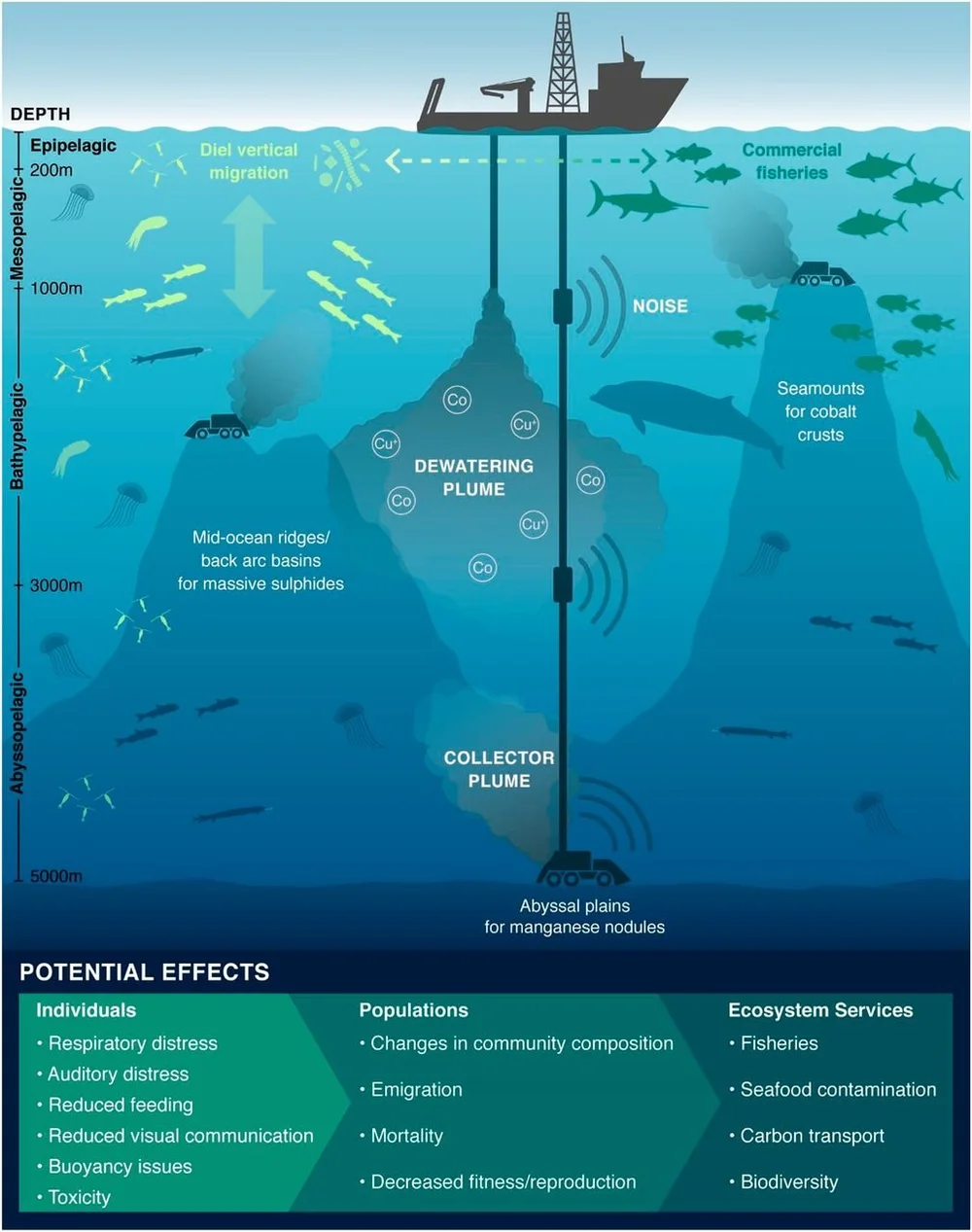 Protecting the Santa Cruz Coast from the Threat of Deep-Sea Mining ...