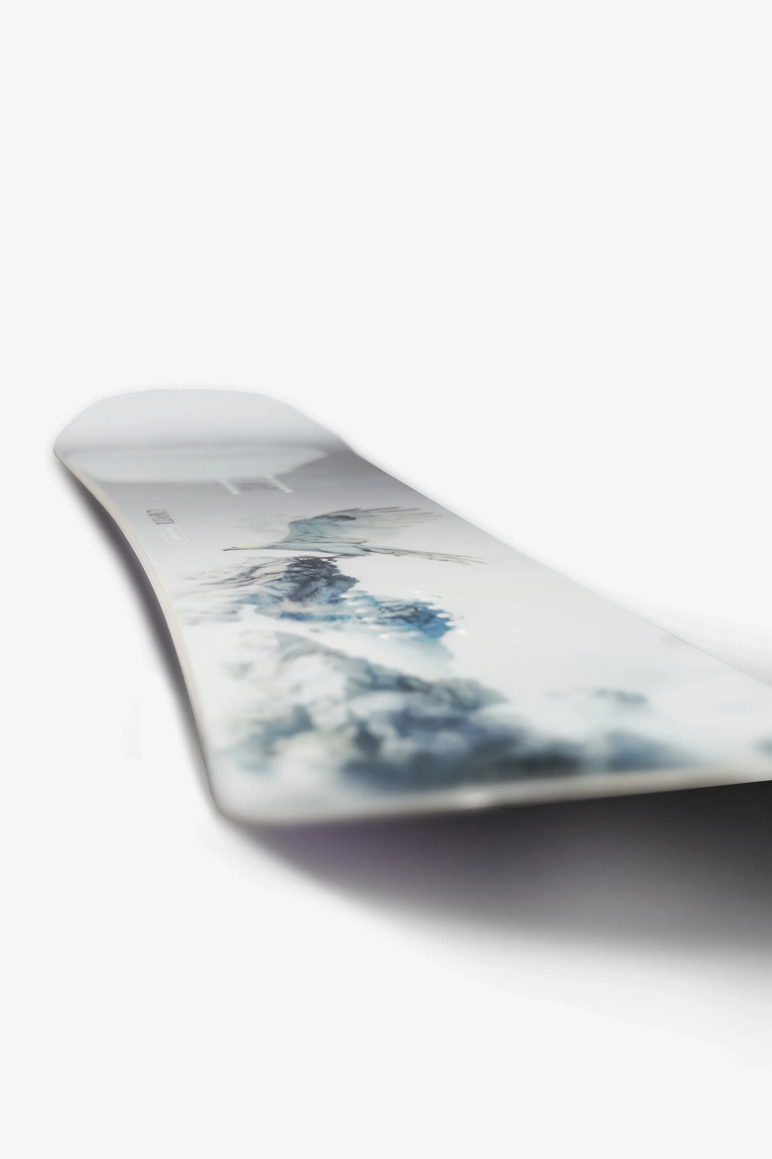 2526 BIRDSOFAFEATHER 3.webp