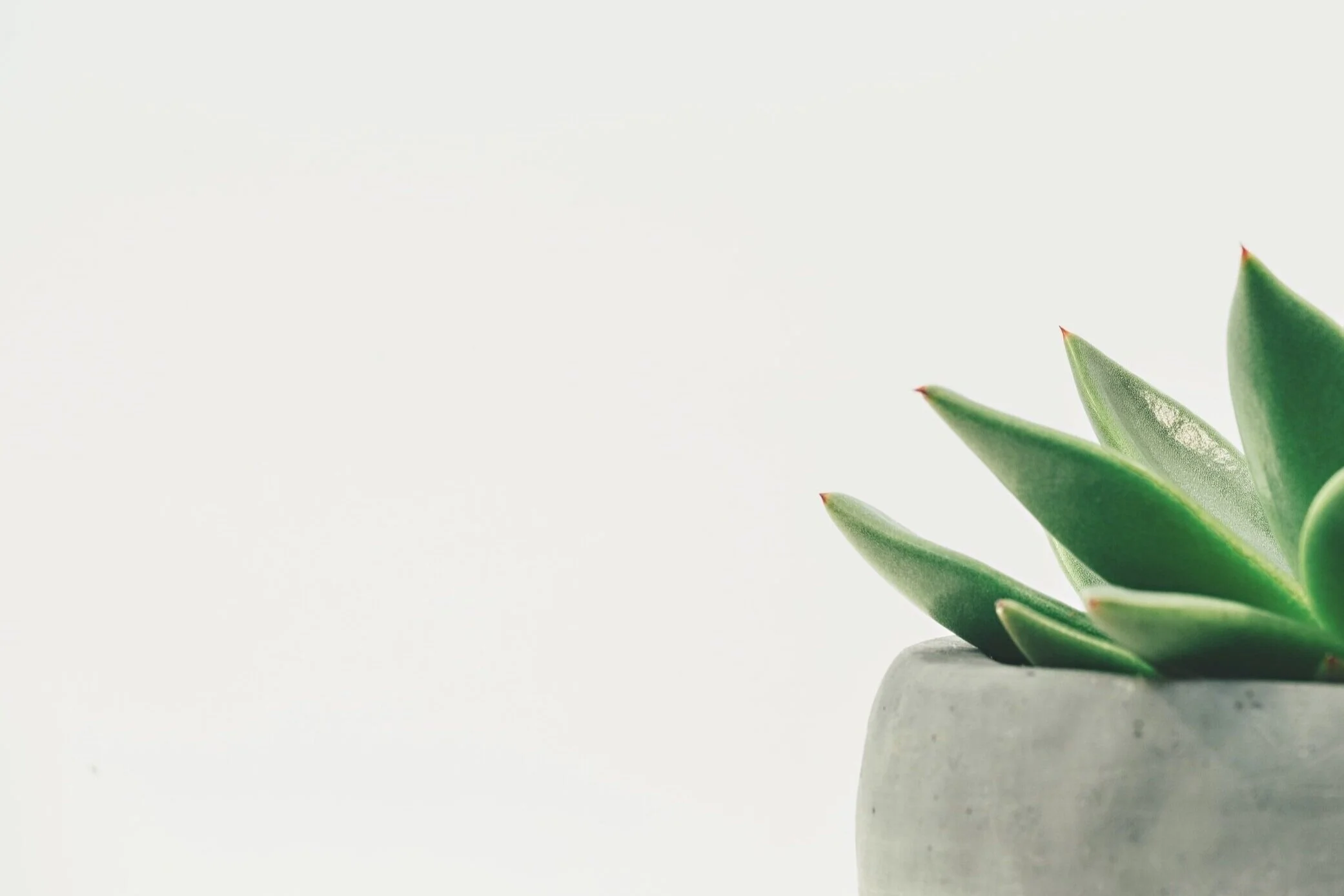 unsplash-image-hDyO6rr3kqk.jpg