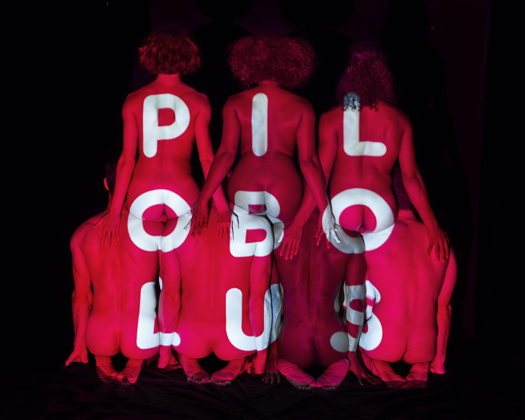 Pilobolus-8499.jpg