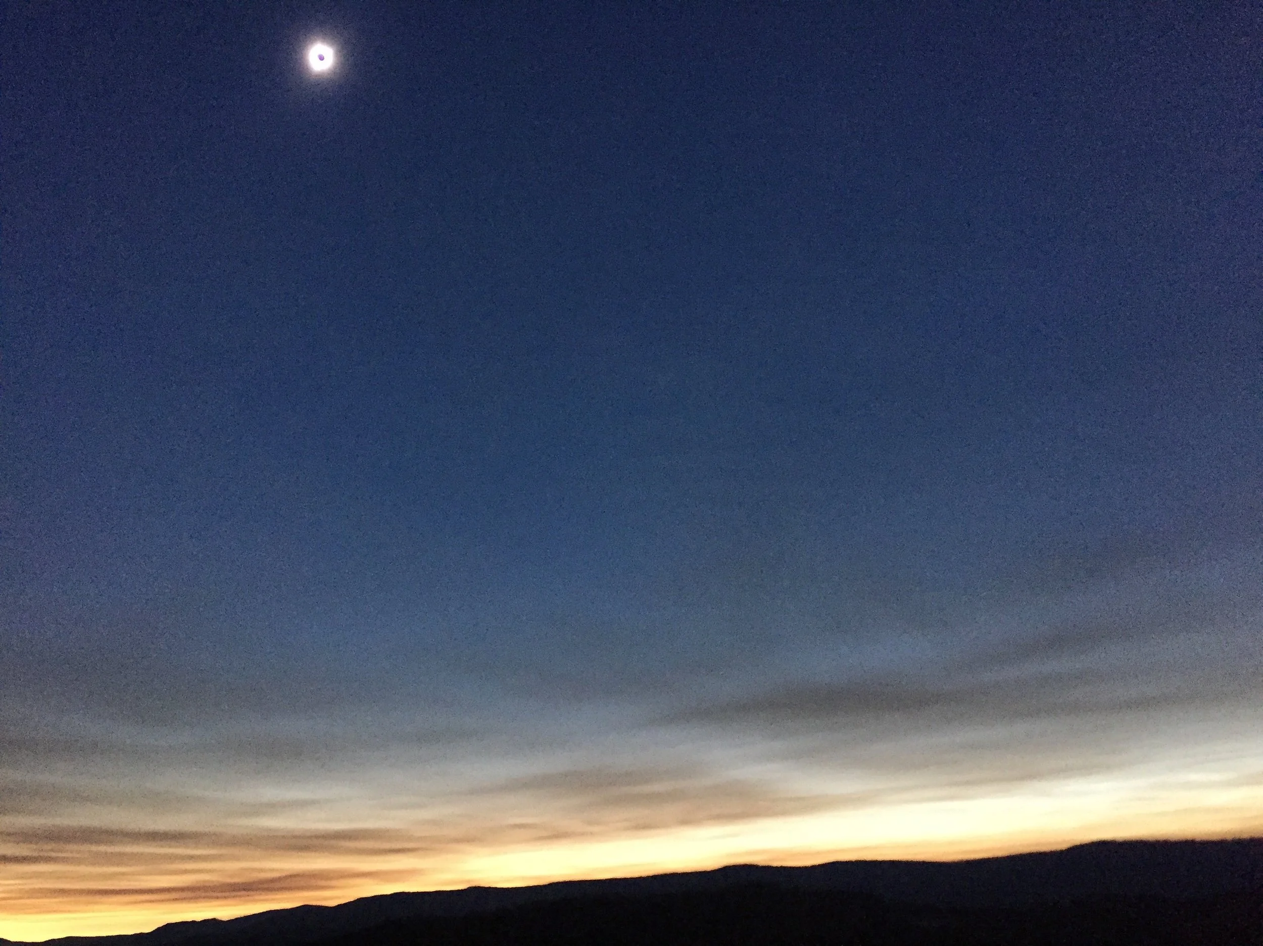 IMG_4467.JPG