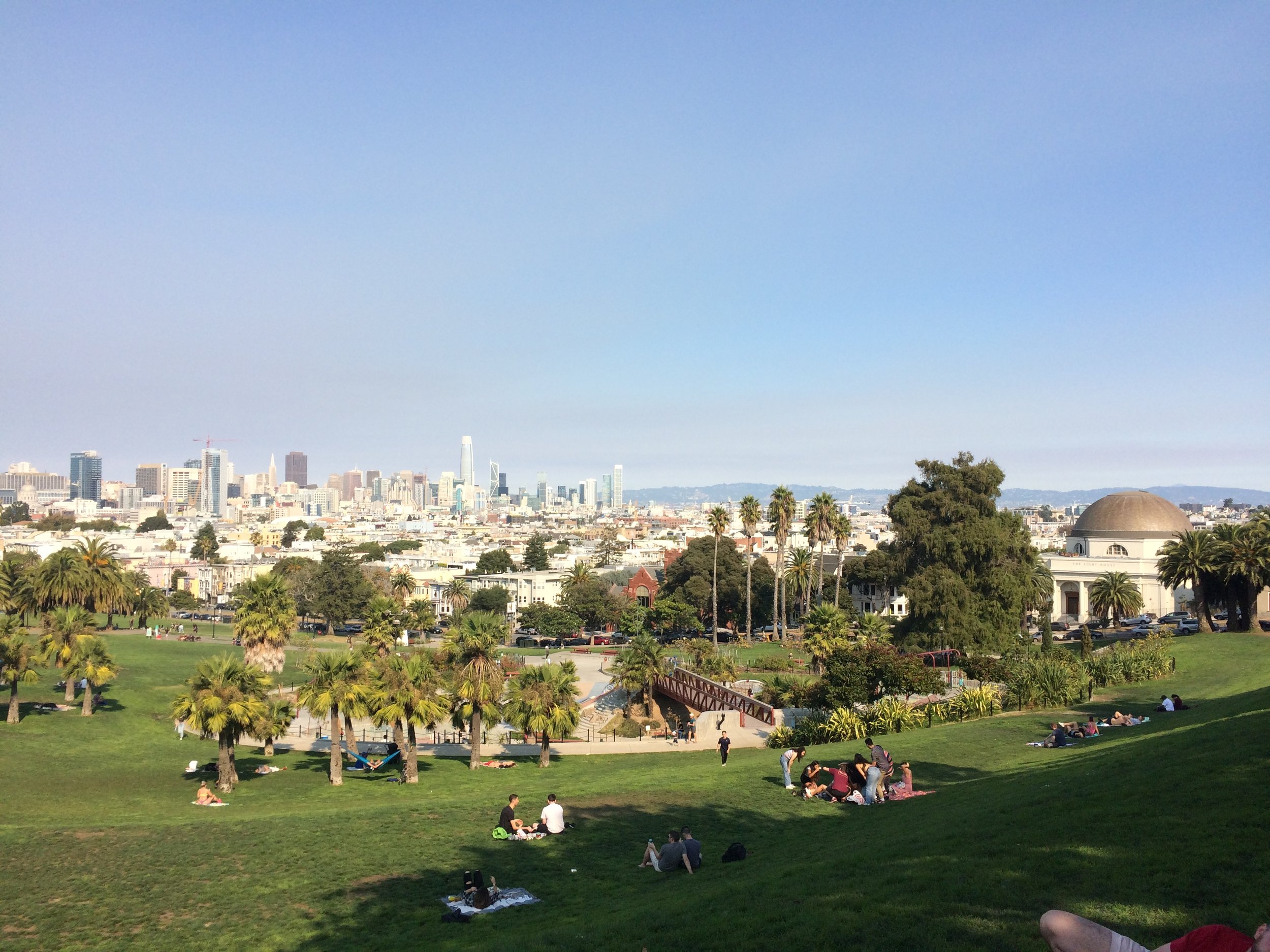 morning with the dead