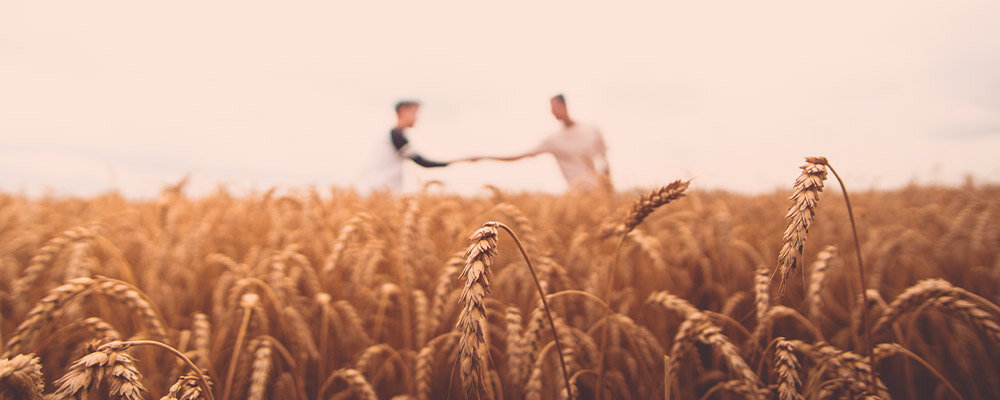 Best Supplements for Chemo Brain: Fermented Wheat Germ Extract
