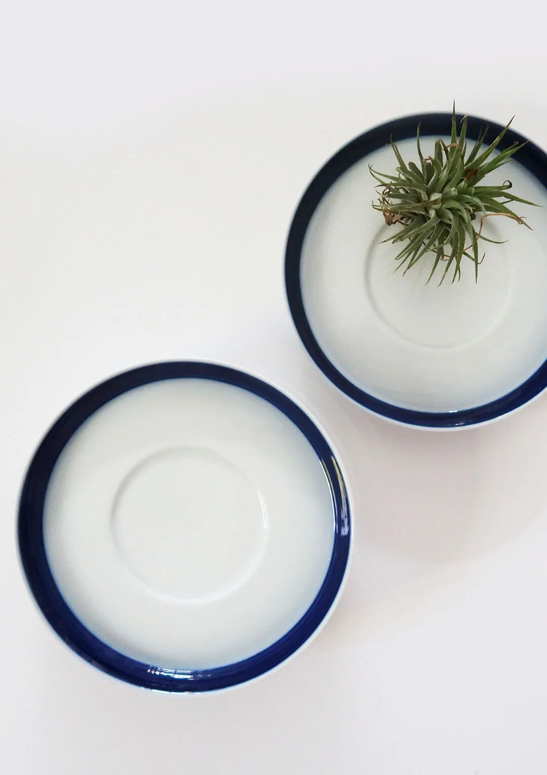 German Indigo Trimmed Plates - Set of 4