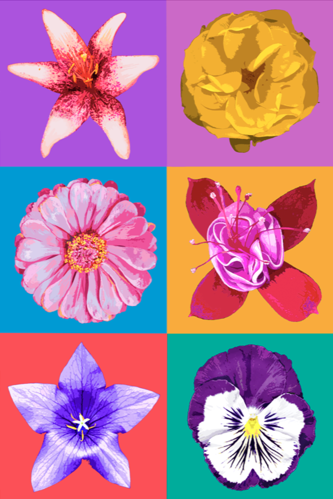 Flower Boxes by Vinette Varvaro