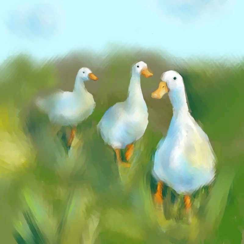 The Committee by Abby Tracy 