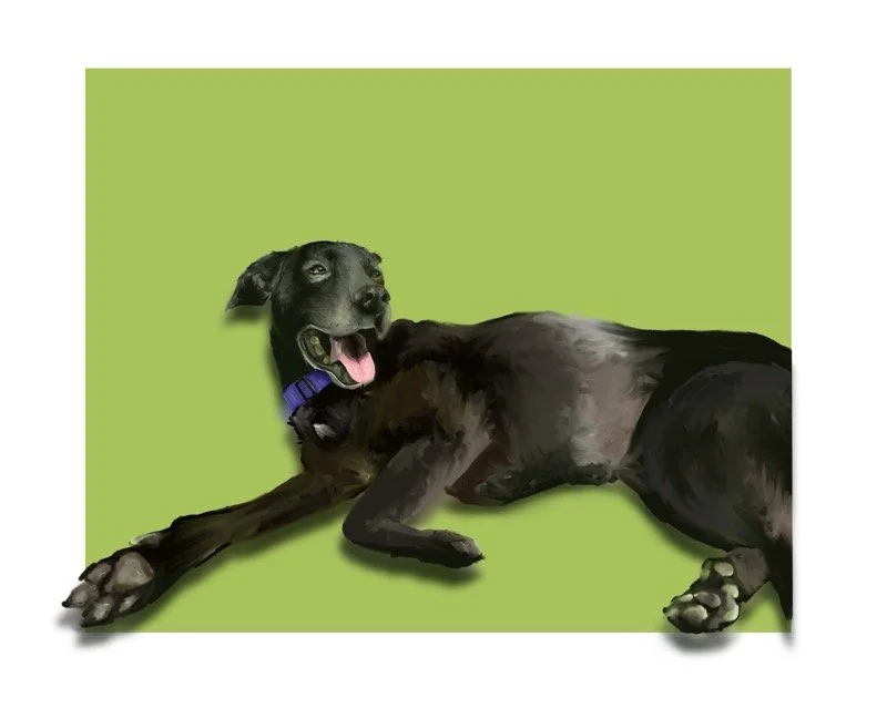 The Black Dog by Abby Tracy