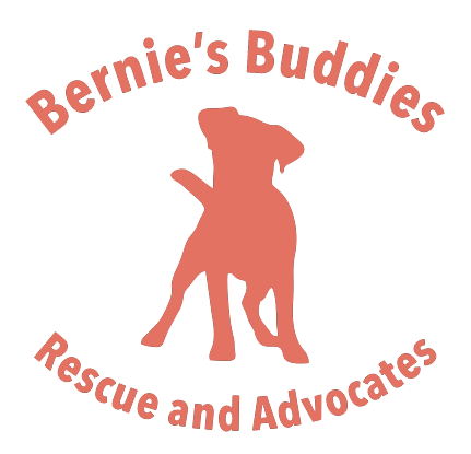 Bernie&#39;s Buddies