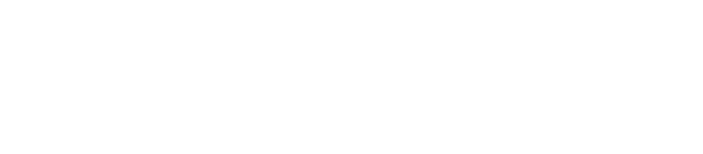 DAVID MINIATURES STUDIOS ®