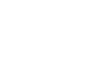 DAVID MINIATURES STUDIOS ®