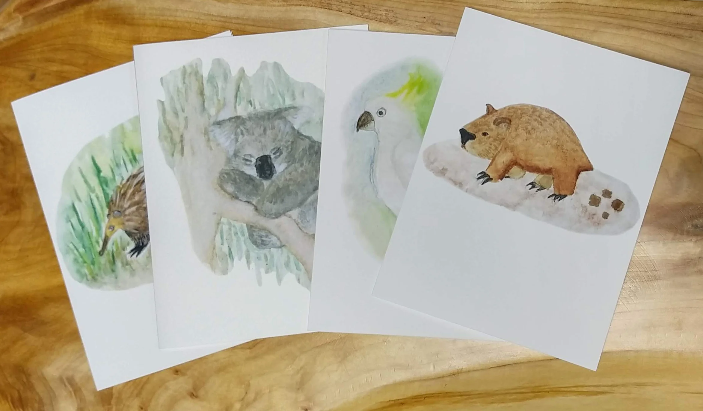 Australian Animal Cards.jpg