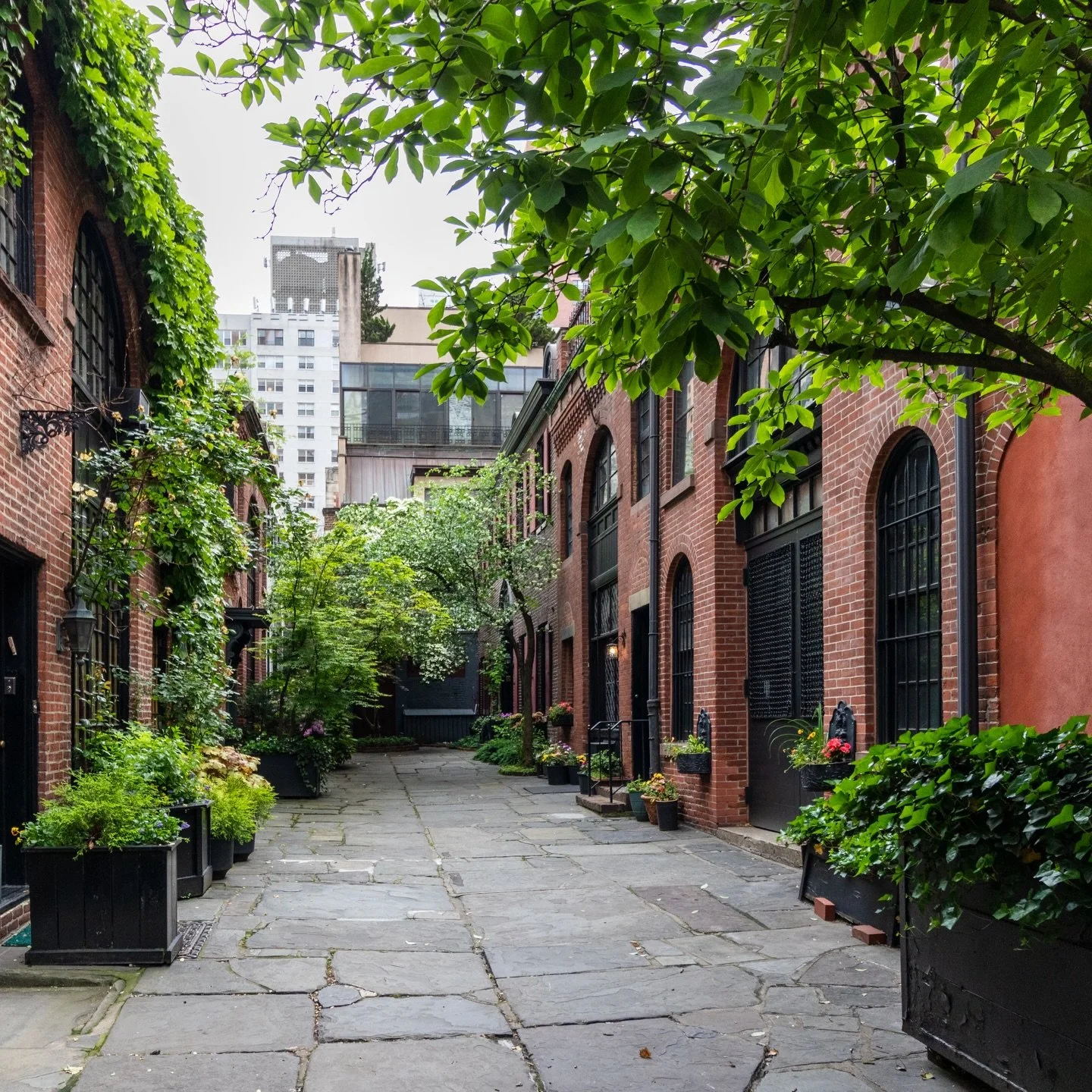New York&rsquo;s streets are plagued with cars and traffic. But before the invention of the automobile, it was packed full of horses pulling everything from carts to trolleys. Well-to-do New Yorkers needed a place to keep their horses and carriages, 