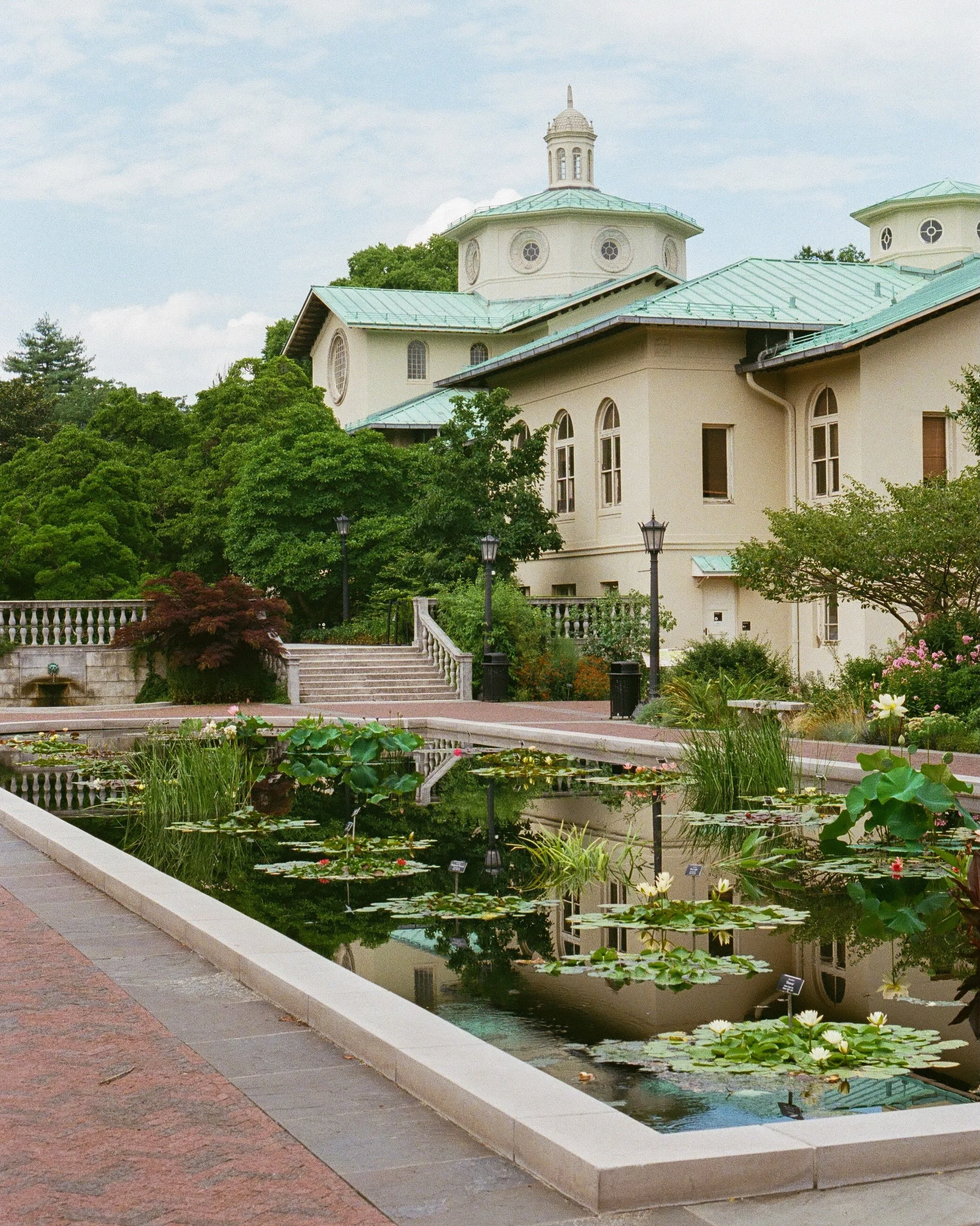 In 1897, the State of New York authorized the creation of what would become the Brooklyn Botanic Garden on a patch of land bounded by Flatbush and Washington Avenue. Part of the land was donated by the Brooklyn Museum for its creation. The Botanic Ga