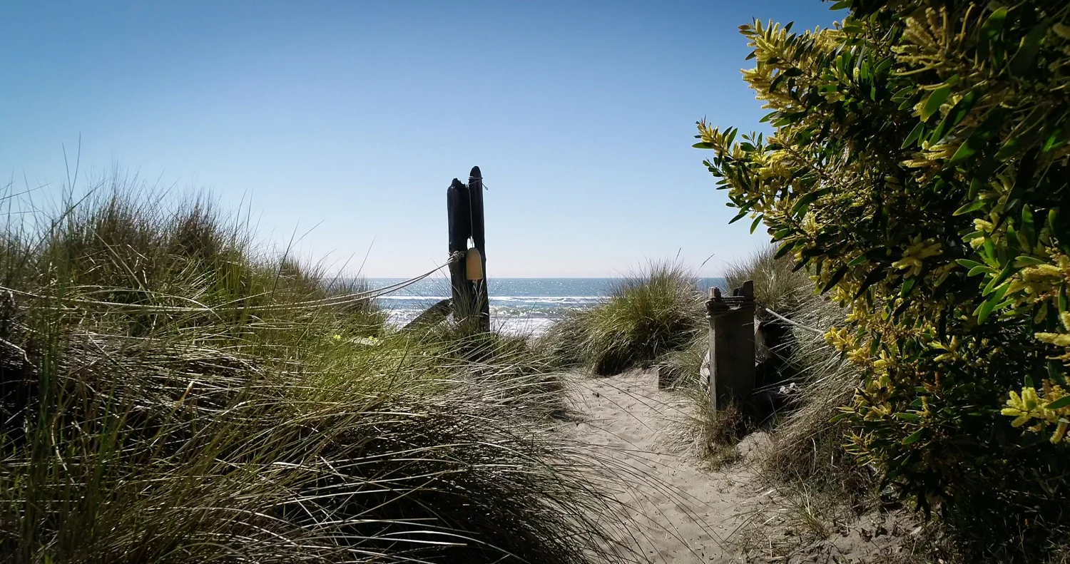 BEACH PATH 2.jpg