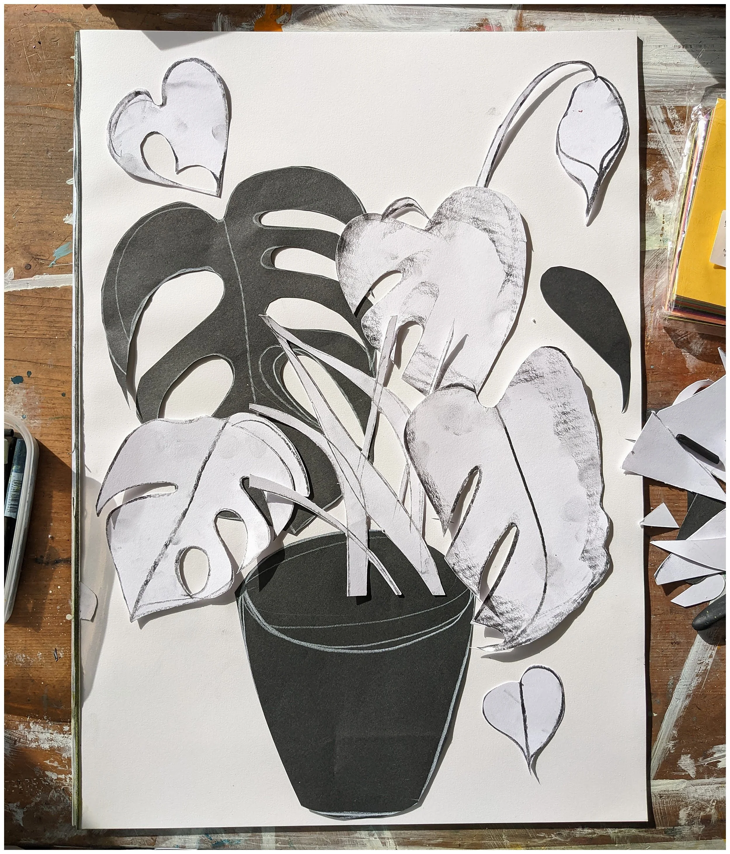 Monstera