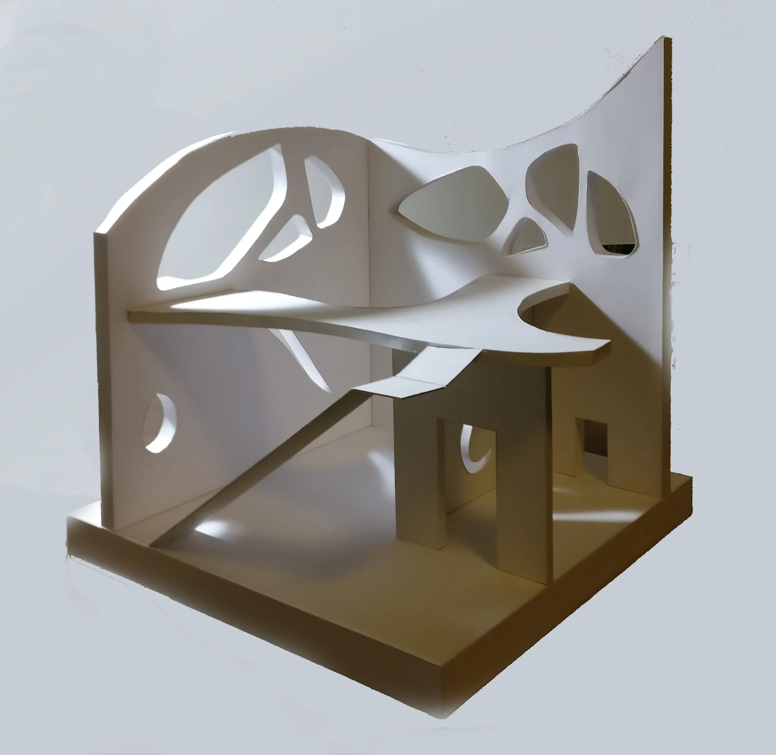 IMG_20171108_051151 (1).jpg