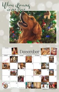 sneak-peak-calendar-193x300.jpg