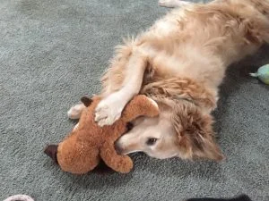 Luca-toy-300x225.jpg