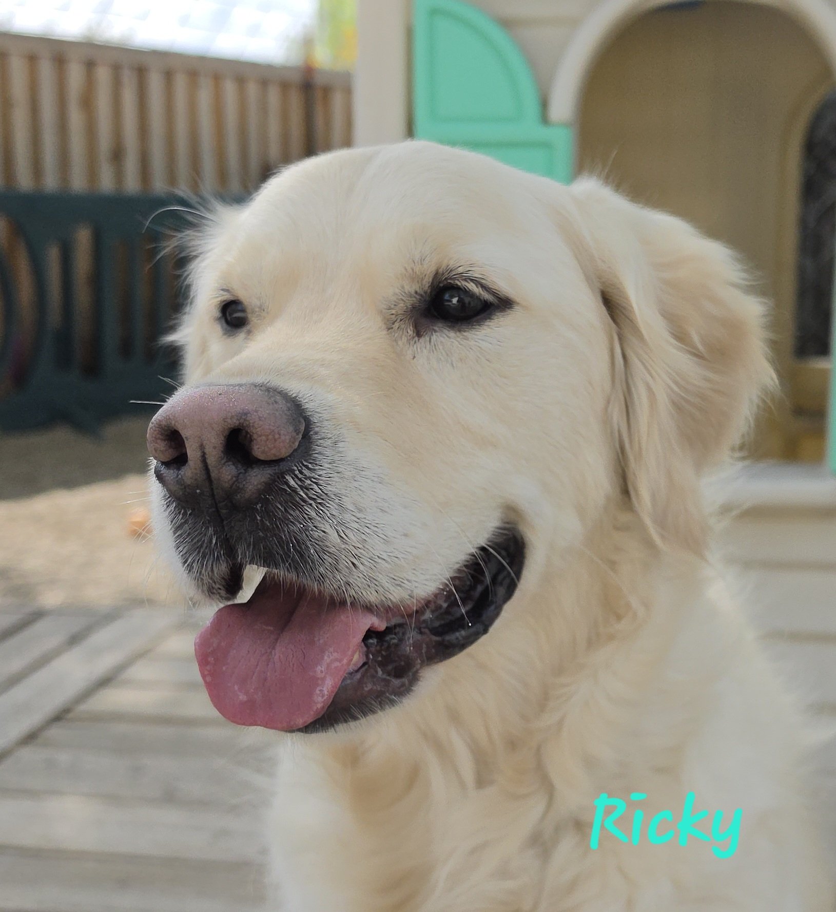 Ricky
