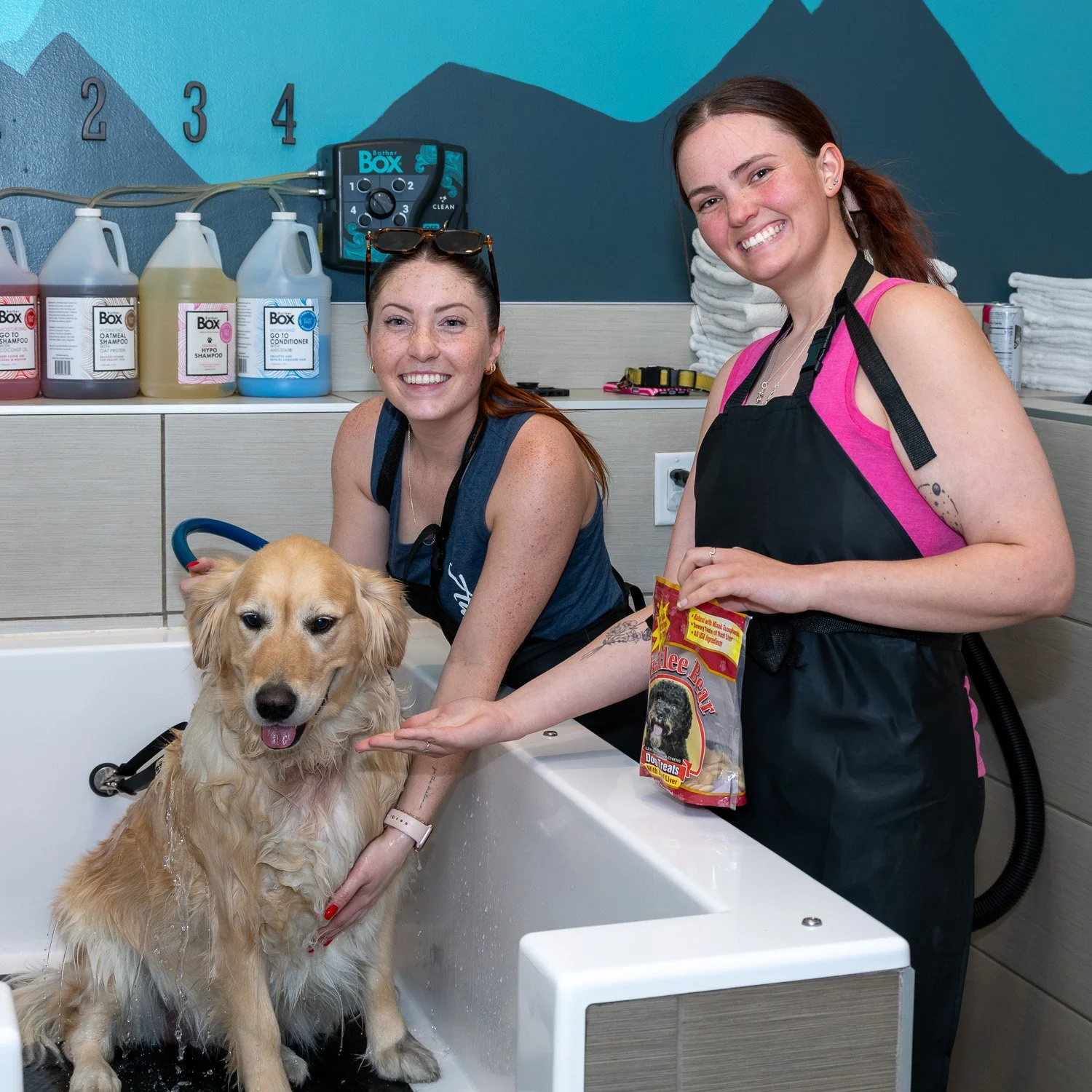 2026DogWash_Social-23.jpg