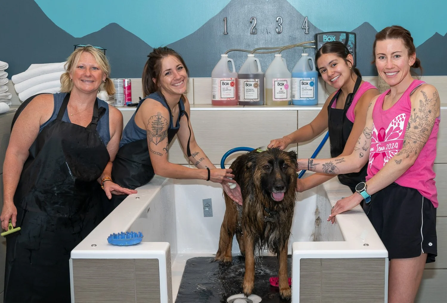 2026DogWash_Social-26.jpg