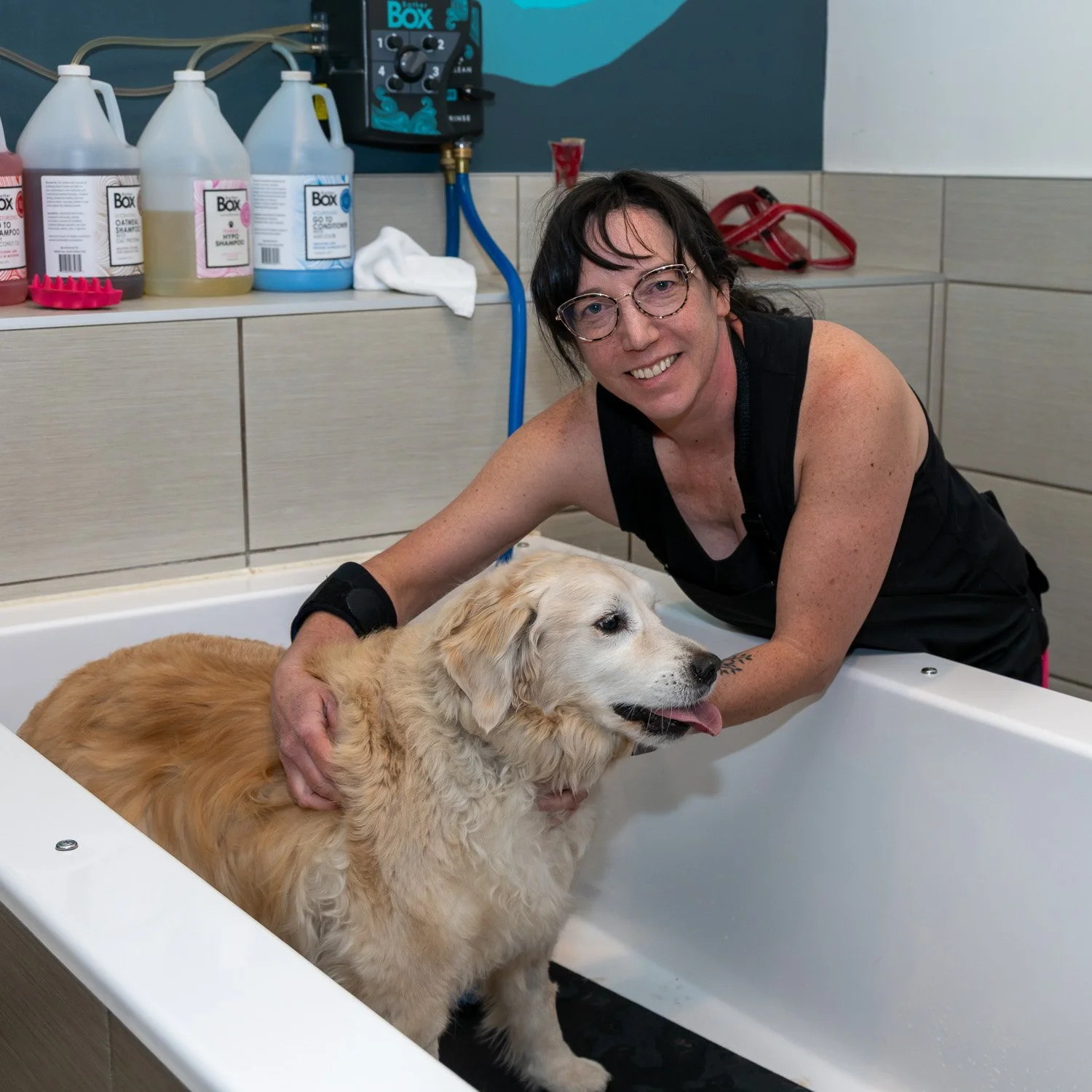 2026DogWash_Social-27.jpg