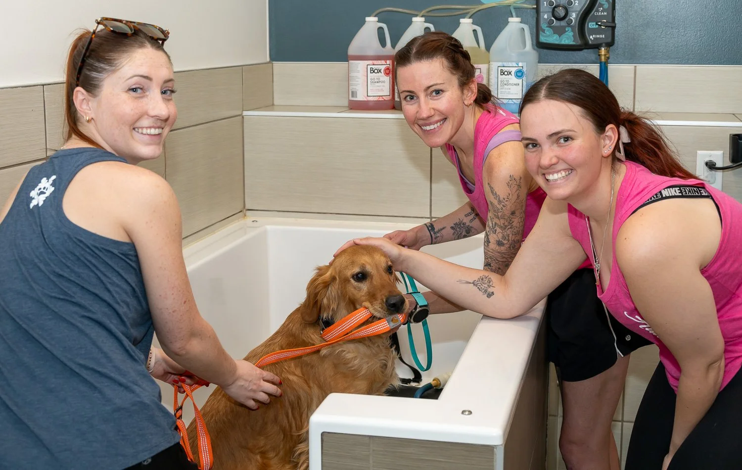 2026DogWash_Social-28.jpg