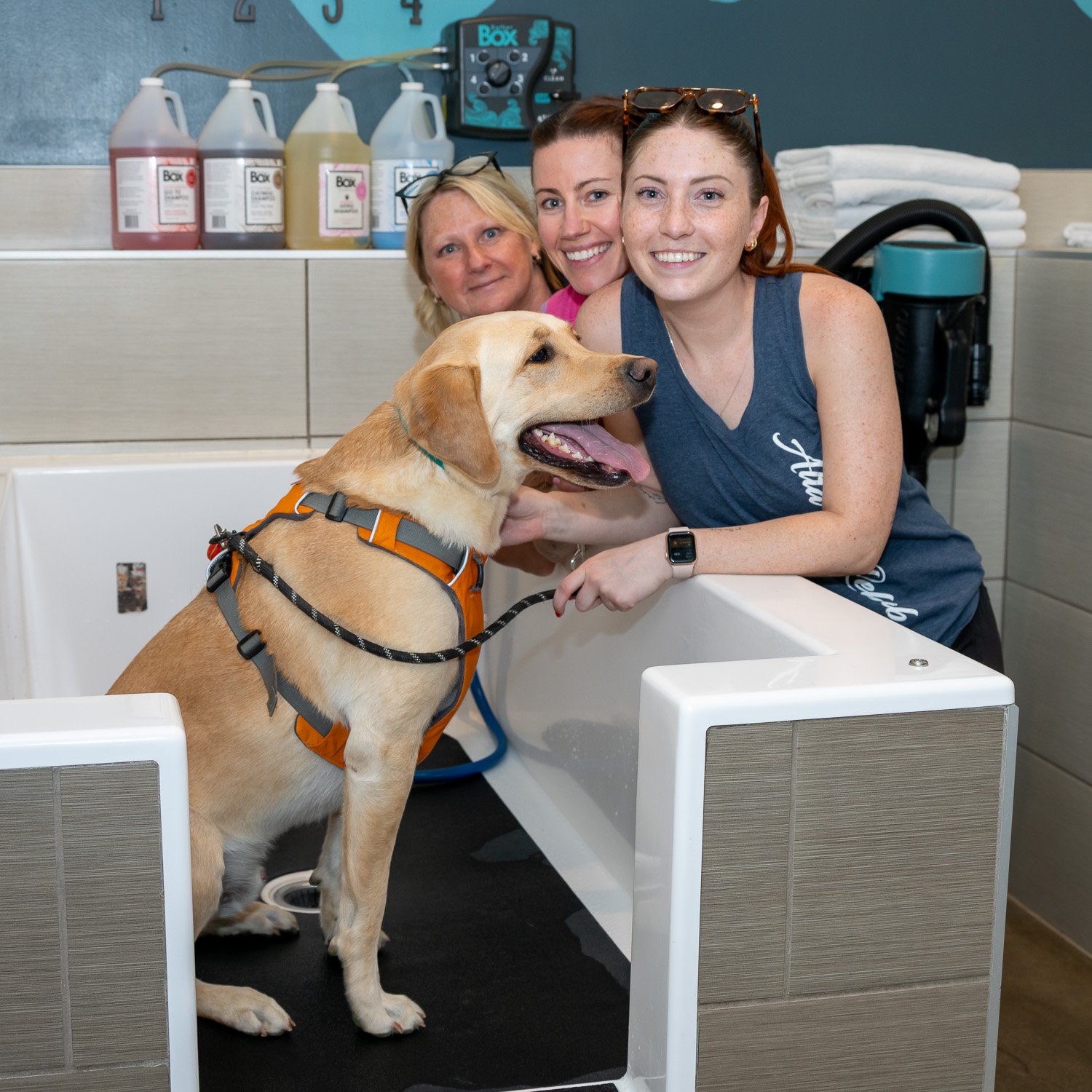 2026DogWash_Social-29.jpg