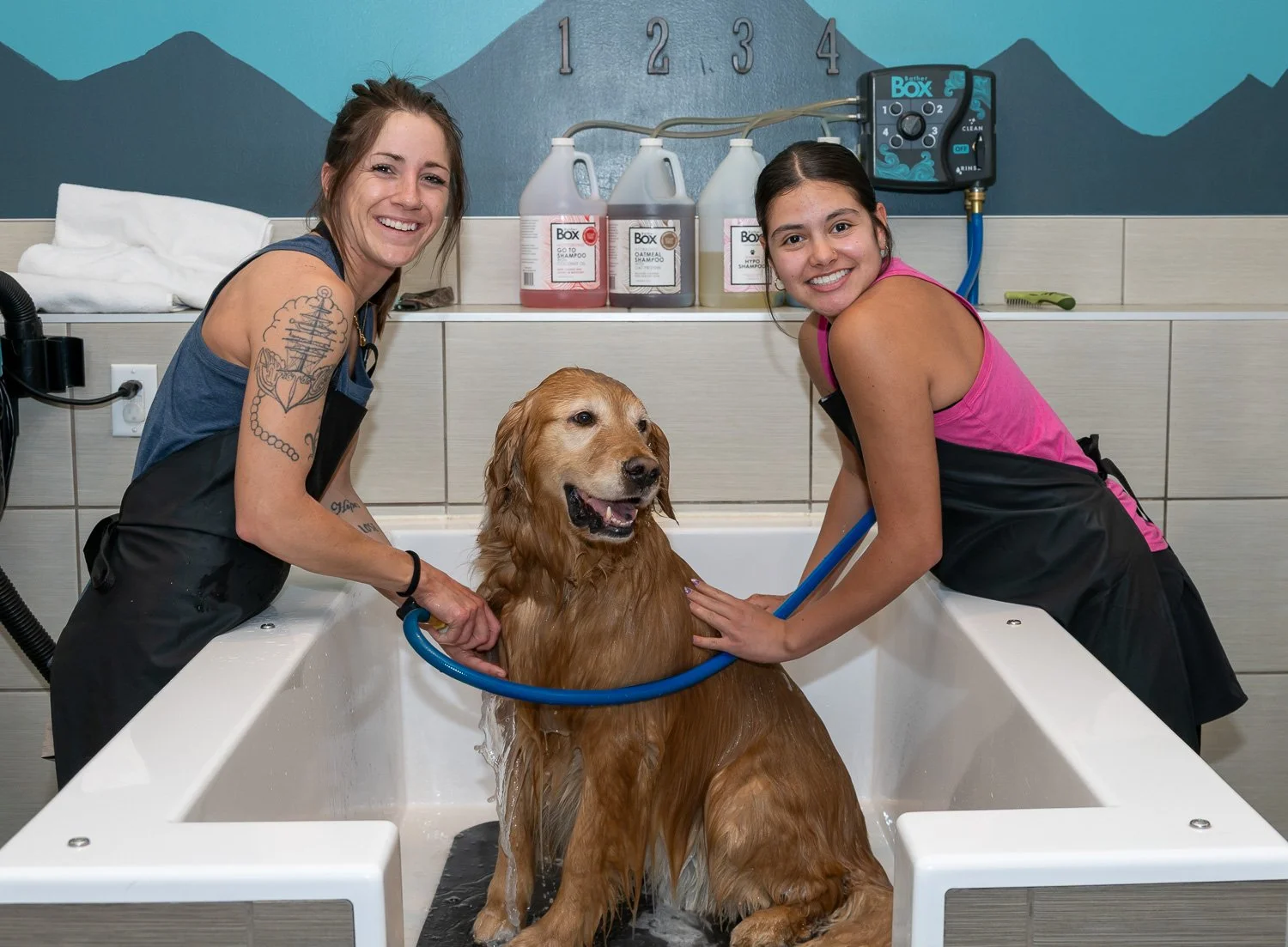 2026DogWash_Social-30.jpg