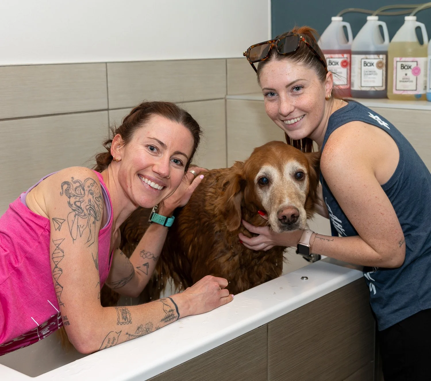2026DogWash_Social-32.jpg