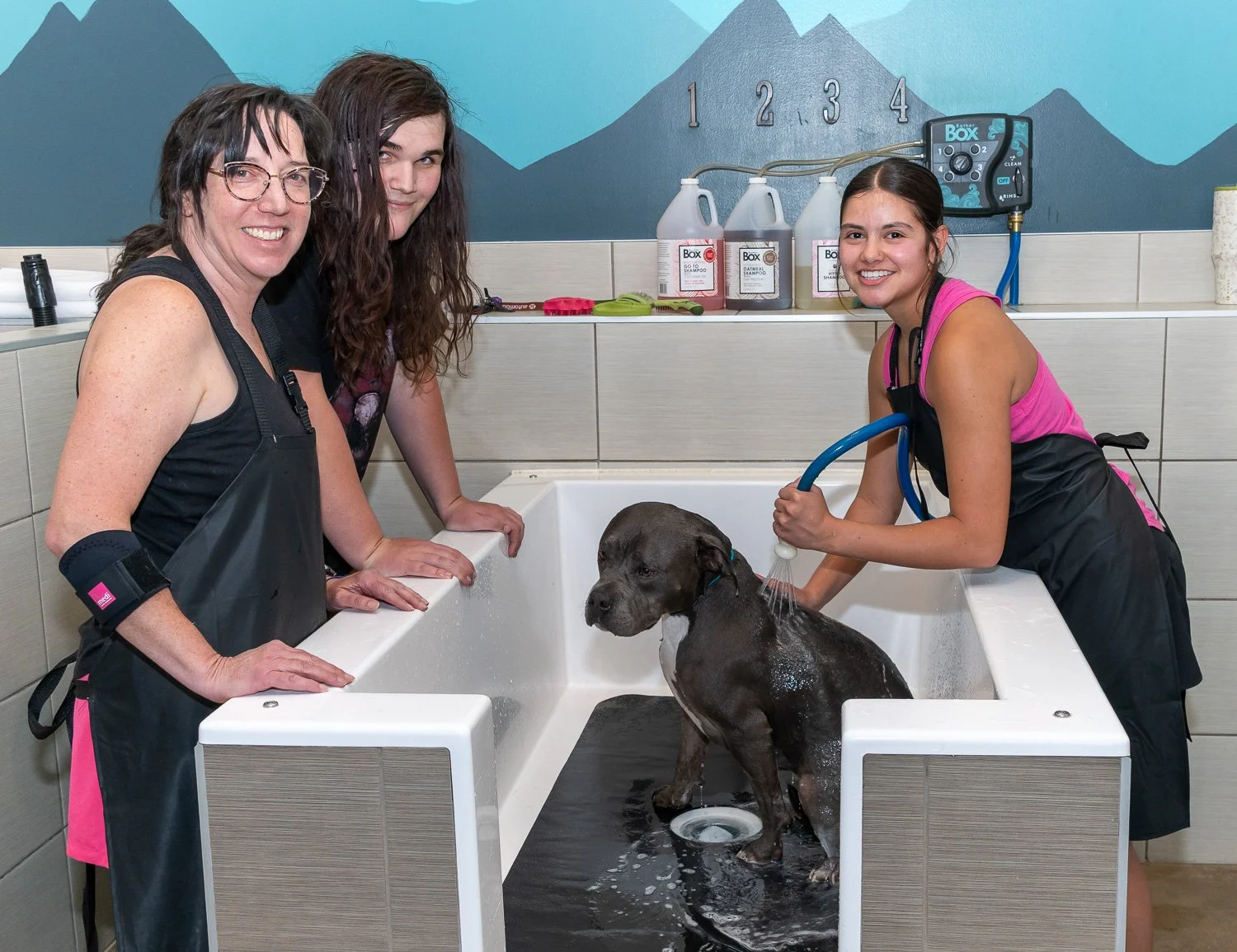 2026DogWash_Social-34.jpg