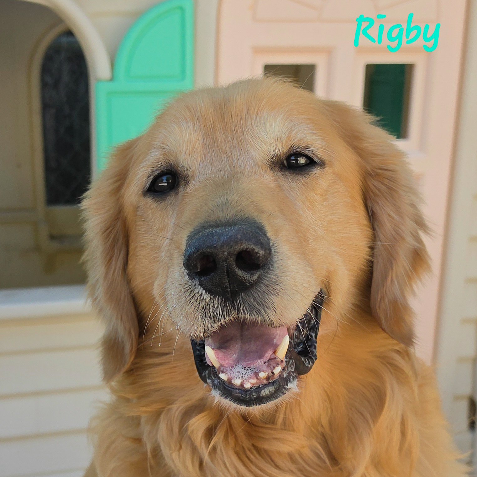 Rigby