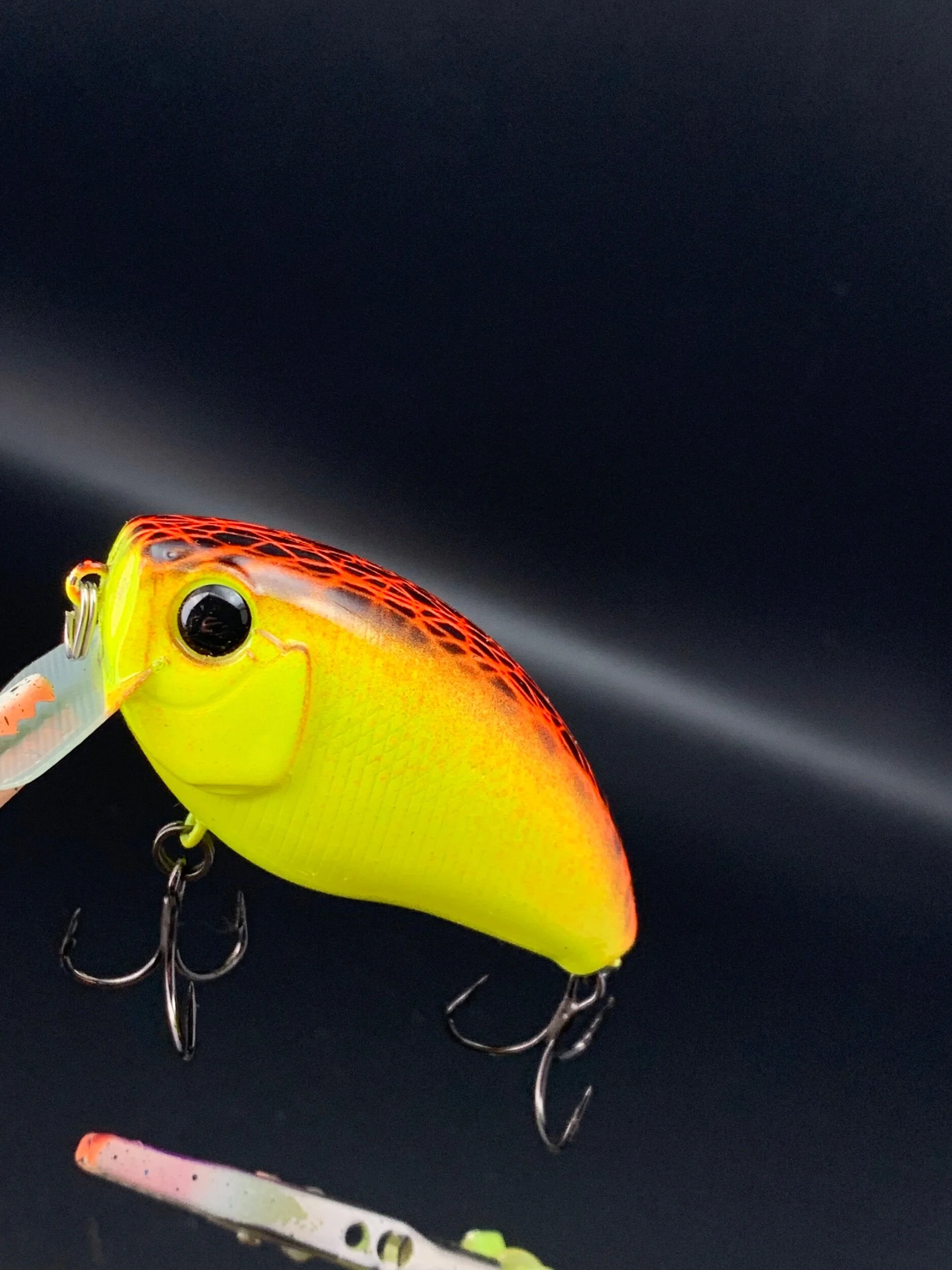 5254FFDF-8B8D-4261-994F-04495690F11D