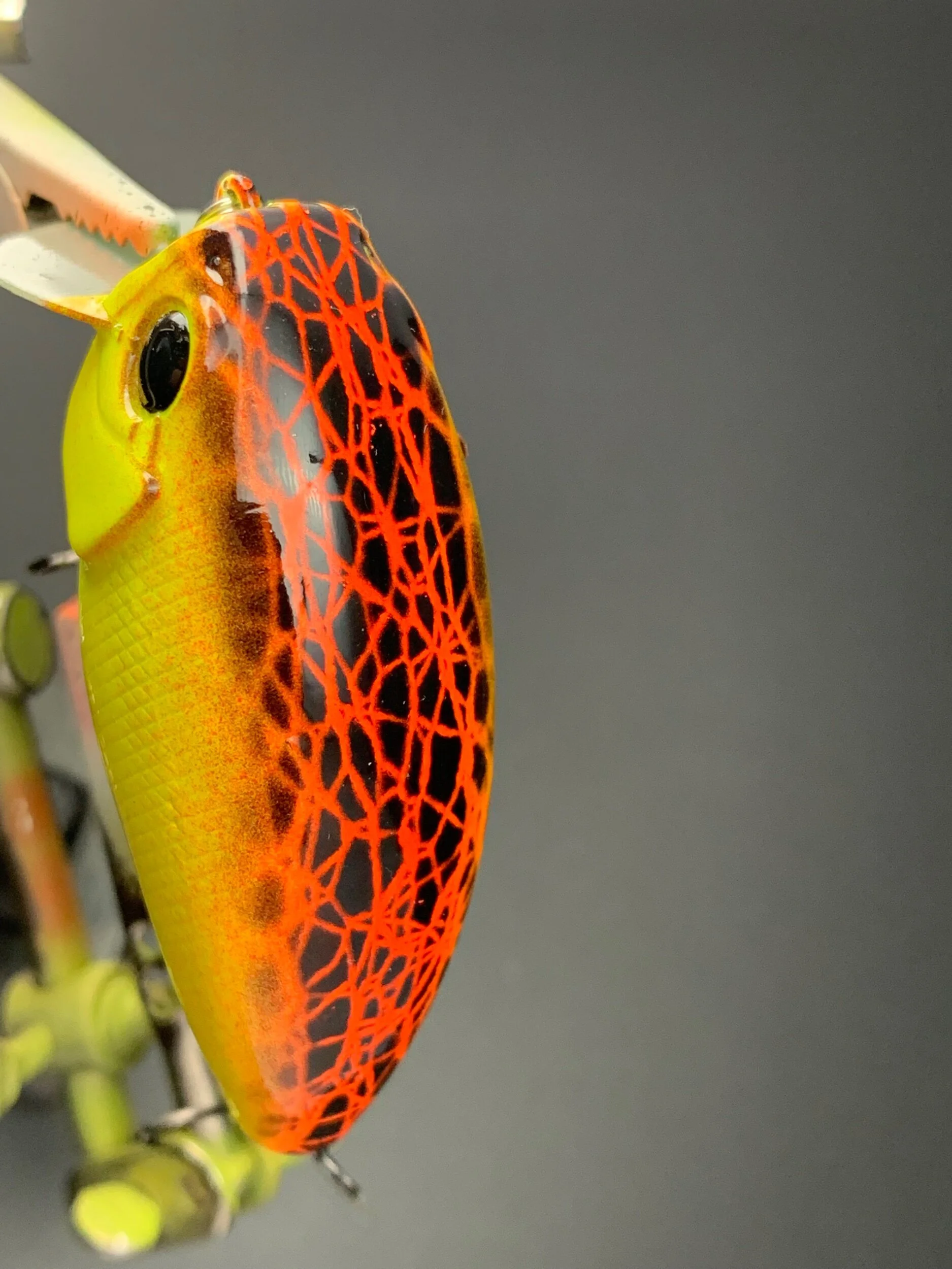 0585C9FE-C81F-4504-AD87-1B6513D21485