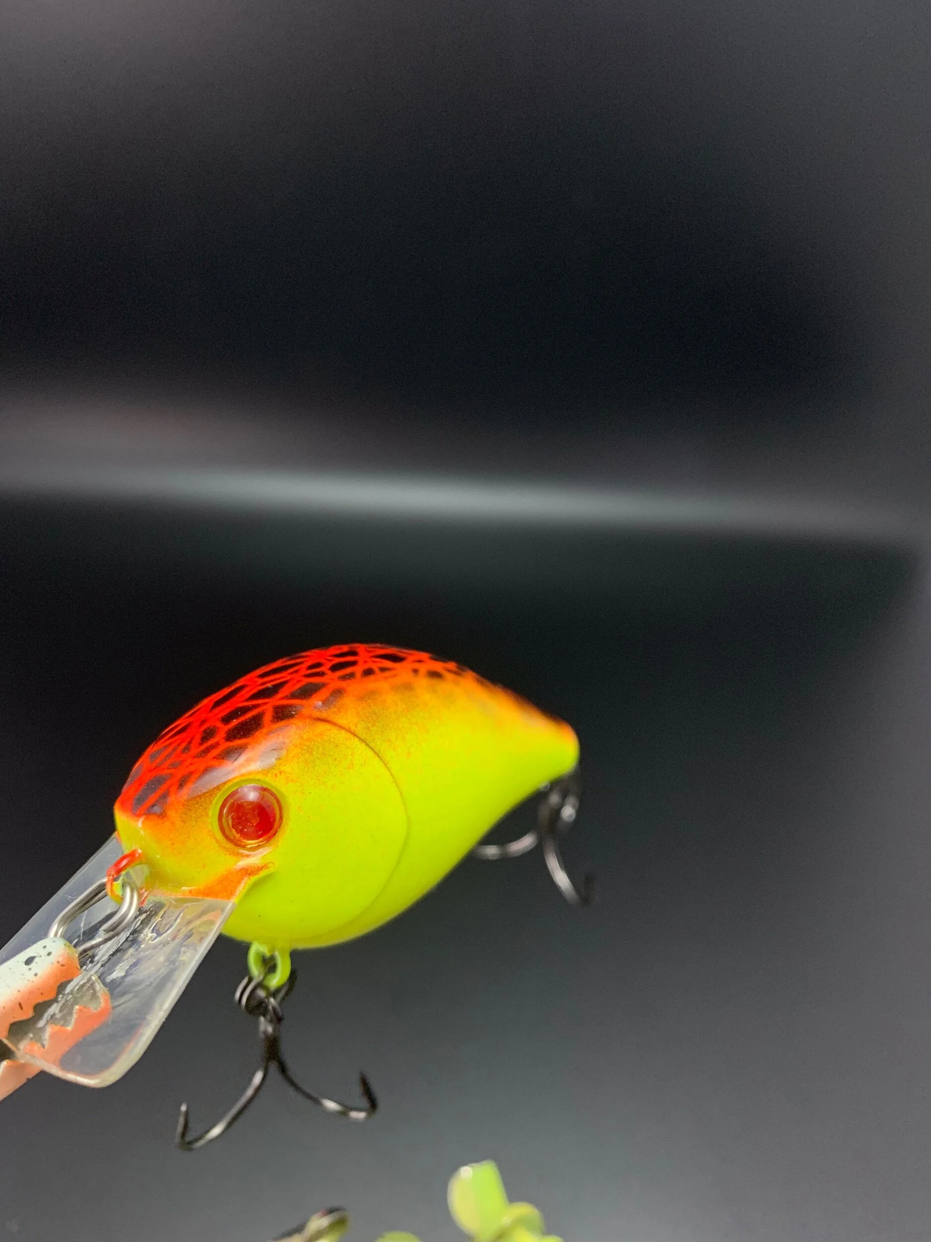 66CC1DEF-98C9-411F-B8FB-894FCC696717