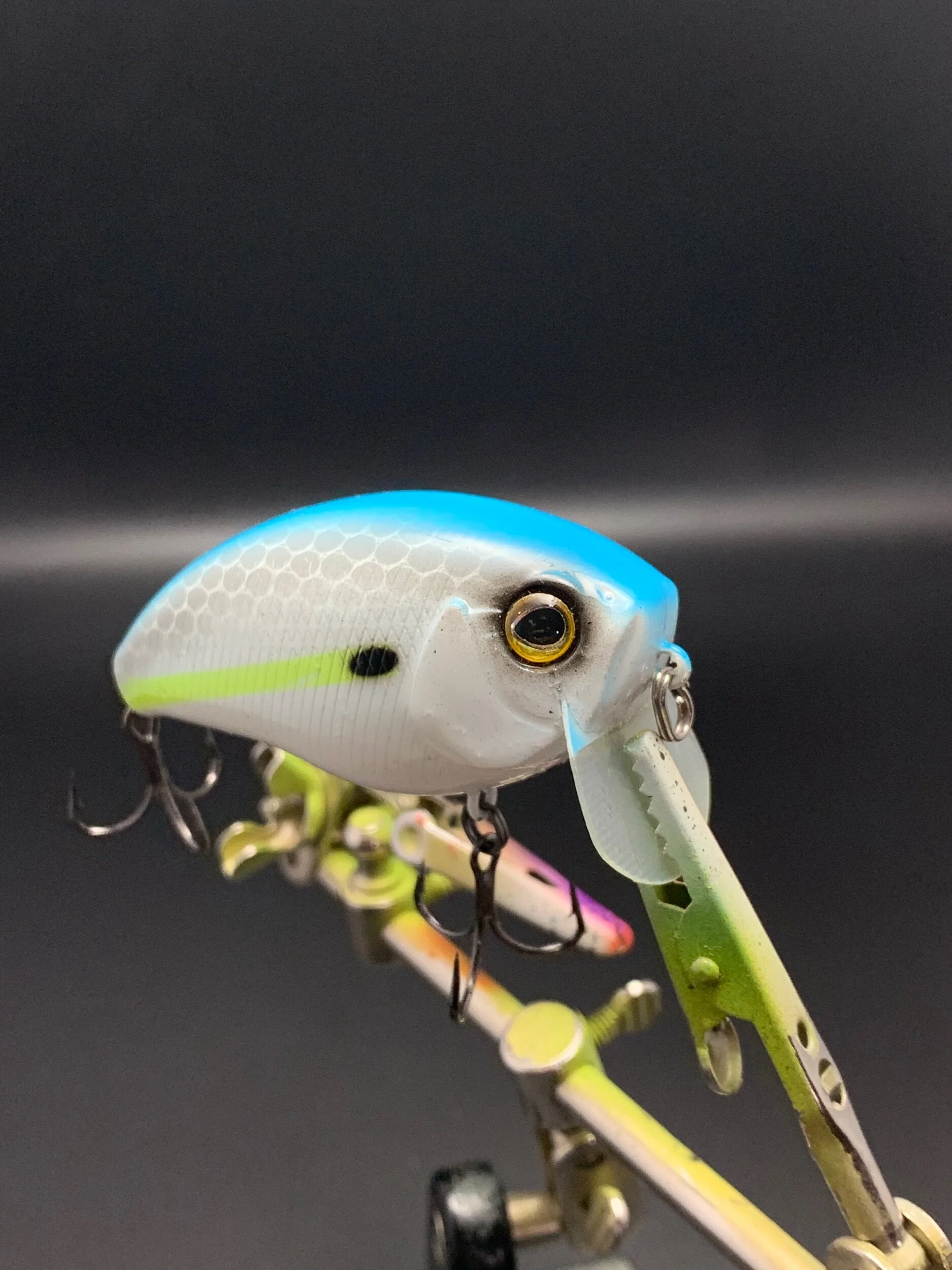 1184A73D-CAF0-4BBC-B2DB-35CE3D00486F