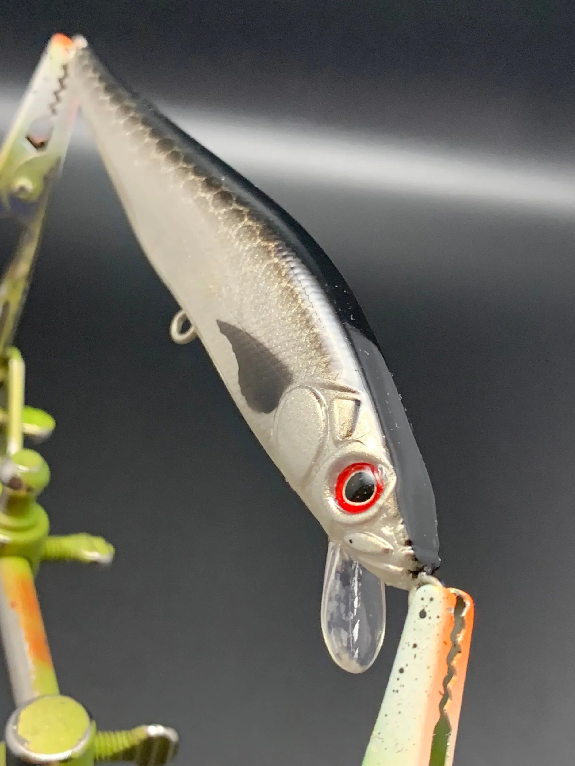 7947D6FB-643F-4CBB-A5CE-F67F1CA0BF4E